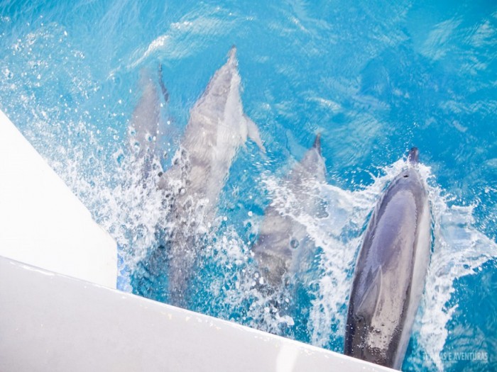 fernando-de-noronha-15