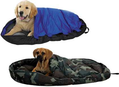 Que tal levar um presente novo para dar ao seu pet durante a viagem?