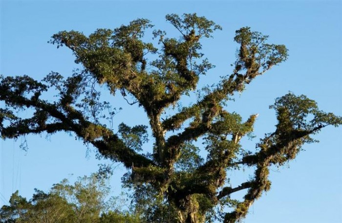 reserva-salto-morato-04