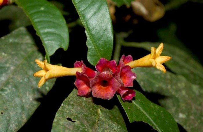 reserva-salto-morato-05