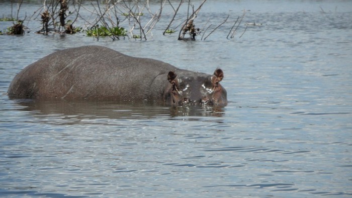 Lake-Naivasha-Sopa-Resort-12