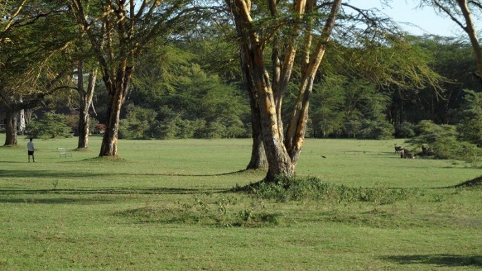 Lake-Naivasha-Sopa-Resort-37