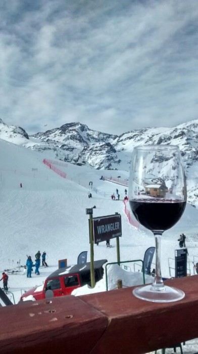 Wine Fest Valle Nevado 1