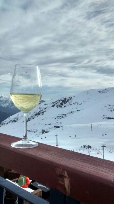 Wine Fest Valle Nevado 2