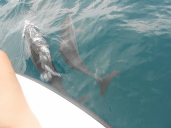 Fernando de Noronha barato 08