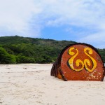Ilha Grande - Praia de Lopes Mendes - Bruno Costa