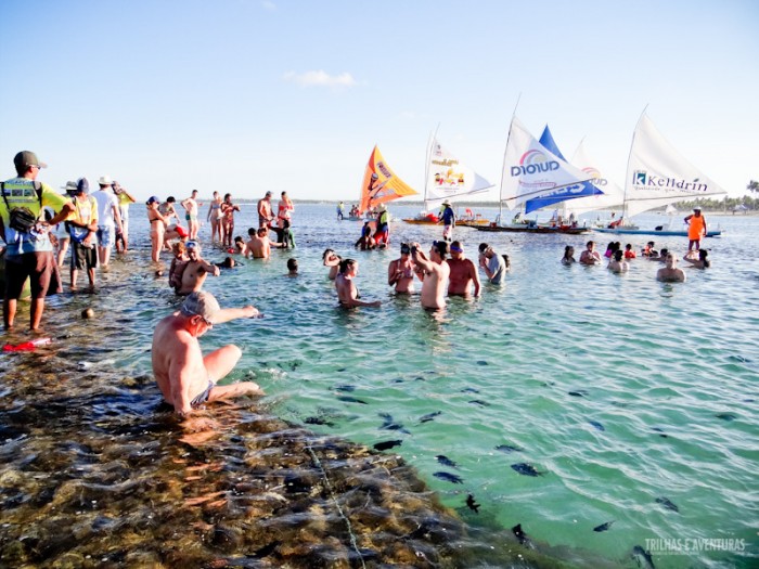 Passeio de Jangada em Porto de Galinhas