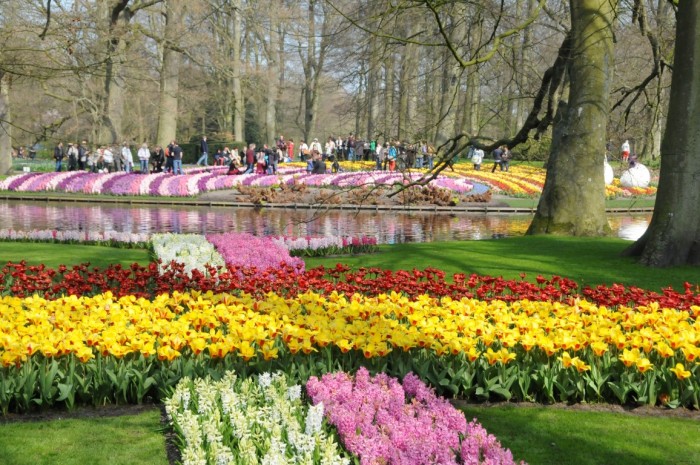 Keukenhof lake
