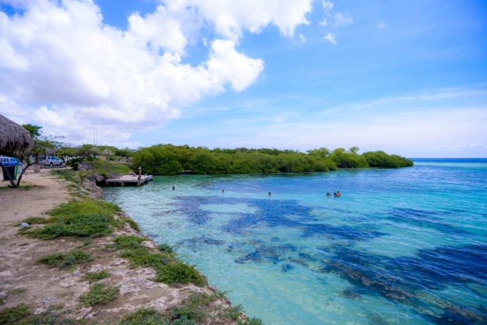 2 - Mangel Halto 3_Credito_ATA