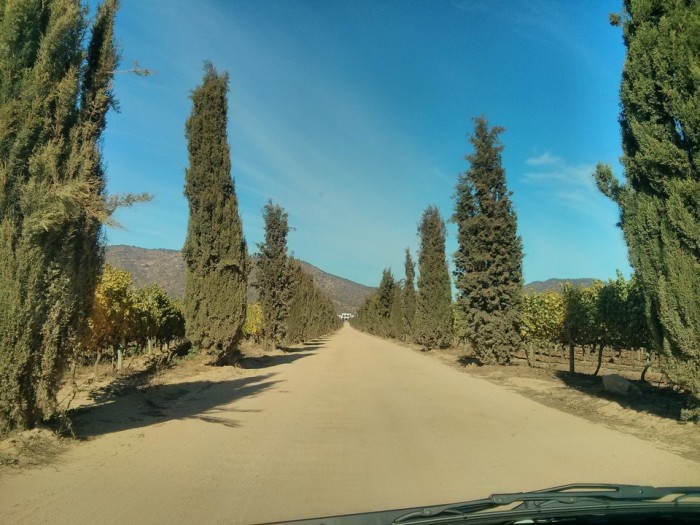 Rota do Vinho no Chile - 02 Vinamar (1)