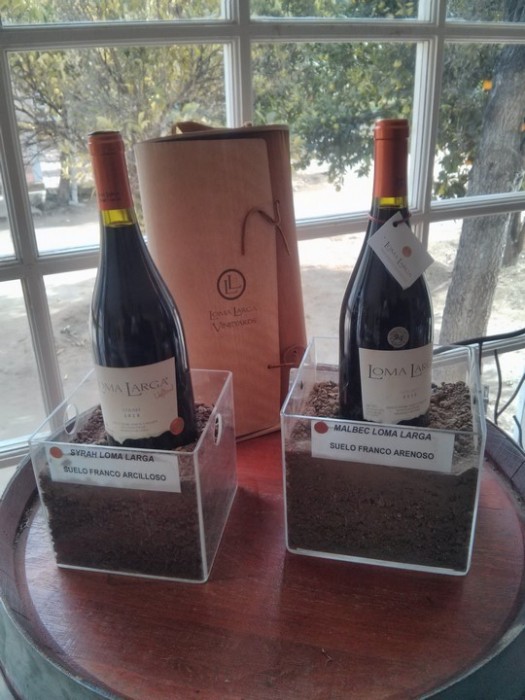 Rota do Vinho no Chile - 03 Loma Larga (1)