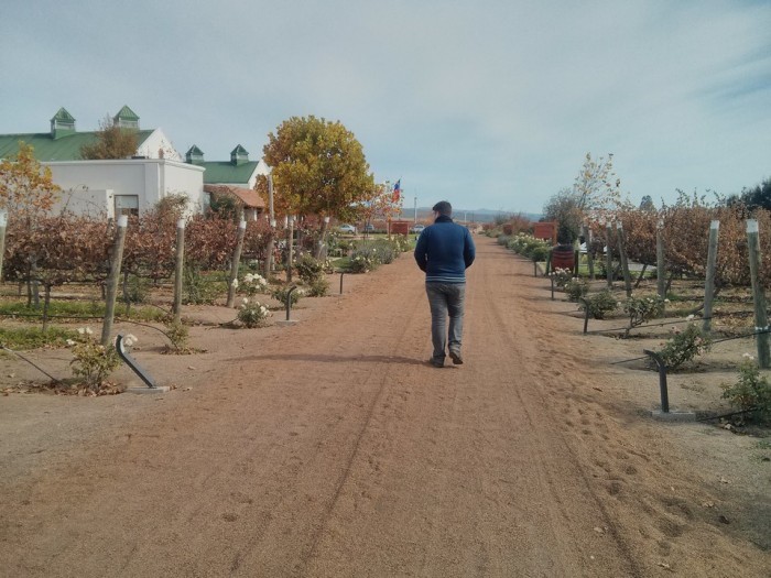 Rota do Vinho no Chile - 04 Casas del Bosque (1)