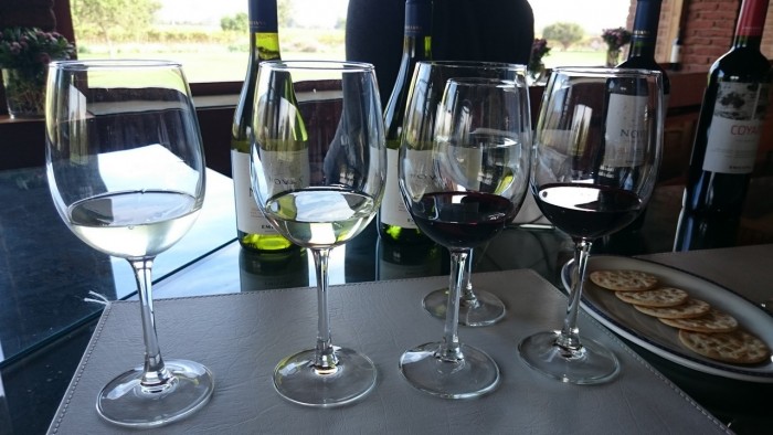 Rota do Vinho no Chile - 05 Emiliana (6)