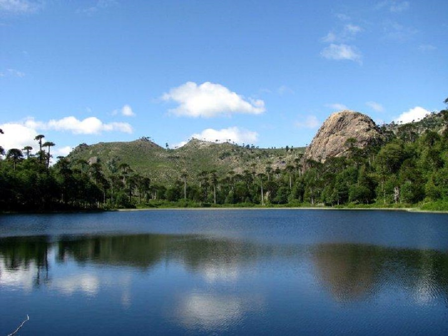 Reserva Nacional Altos de Pemehue no Chile