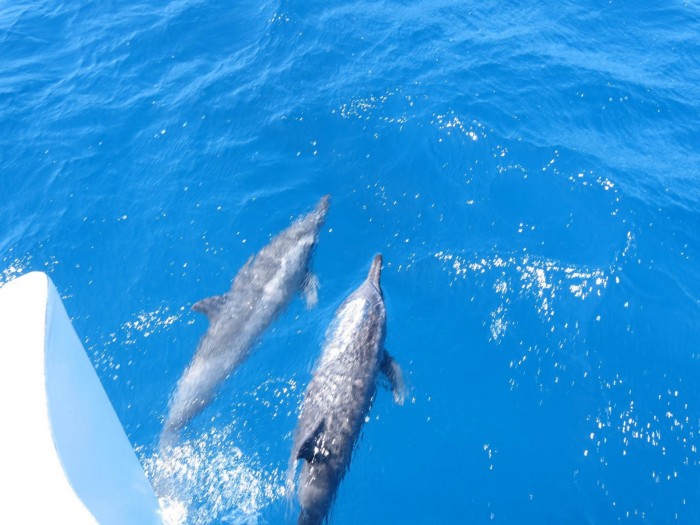 Sonho em Noronha por Rachelli Iozzi 03