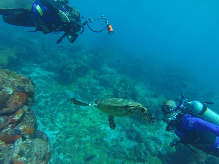 Sonho em Noronha por Rachelli Iozzi 09