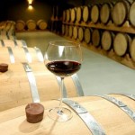 Top 5 Vinicolas na America do Sul