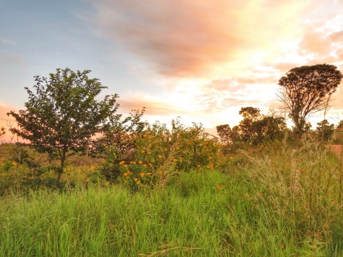 Chapada dos Veadeiros - GO 5