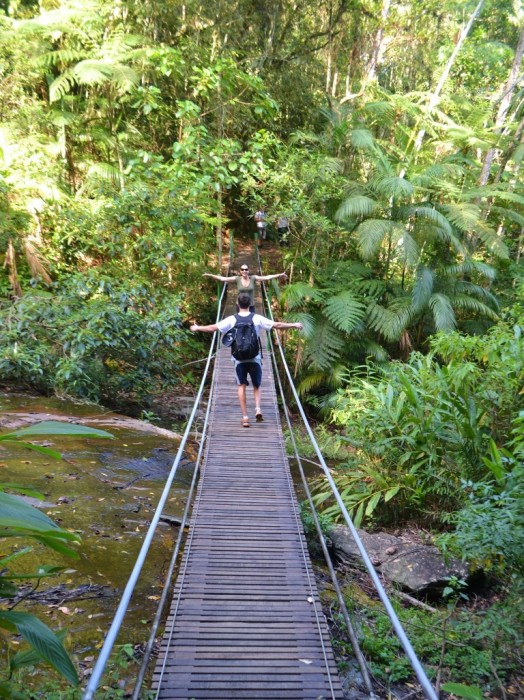 Ponte Suspensa na trilha da Cova da Onça