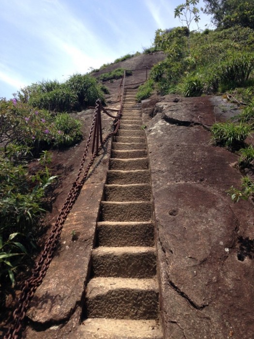 Caminho ao Cume do Pico da Tijuca