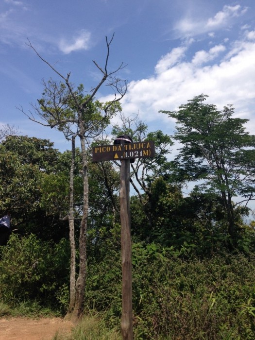 Pico da TIjuca 1021 metros