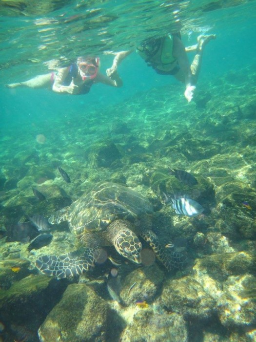 Noronha para Casais 10