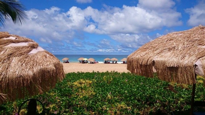 Noronha para Casais 13