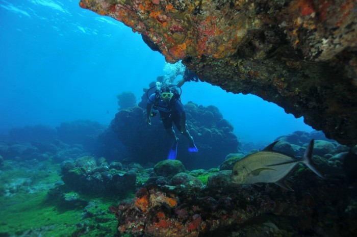 Swell em Fernando de Noronha 11