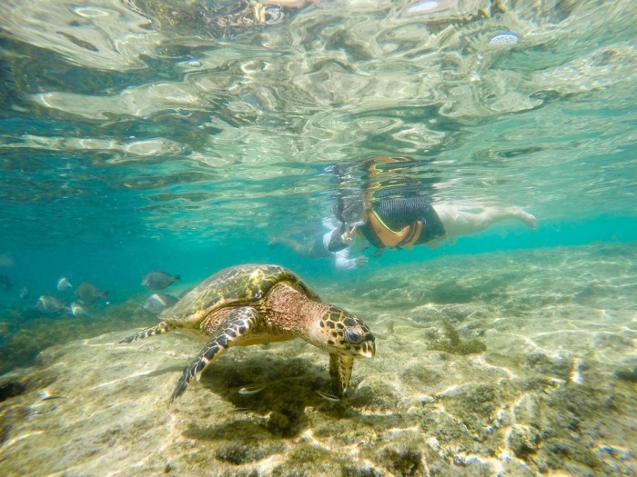 Swell em Fernando de Noronha 5