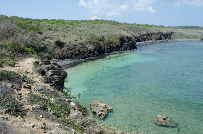 Swell em Fernando de Noronha 9