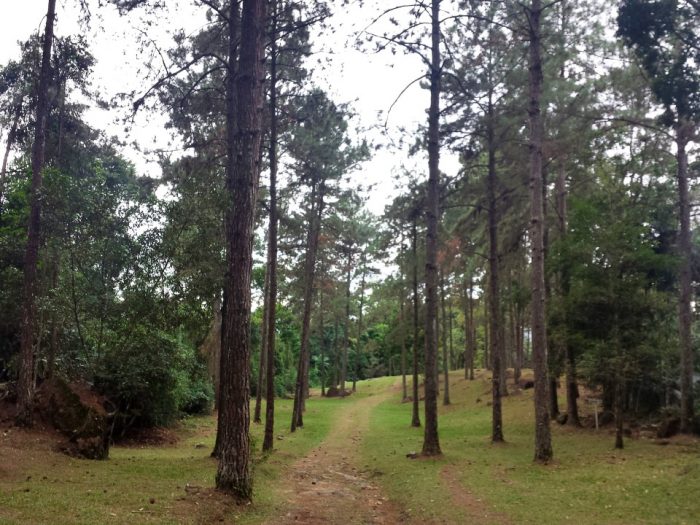 Serrinha do Alambari - Camping 1