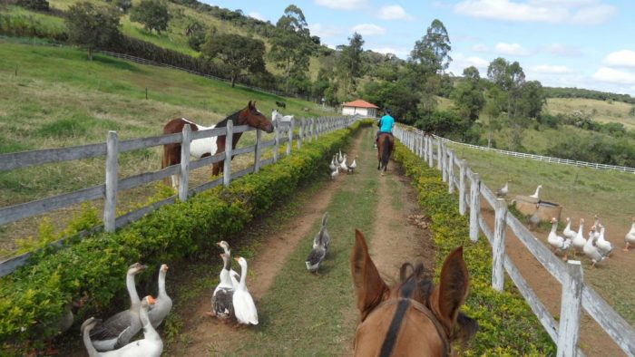 Tiradentes e arredores - 20