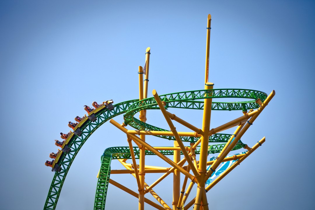 Cheetah Hunt 3