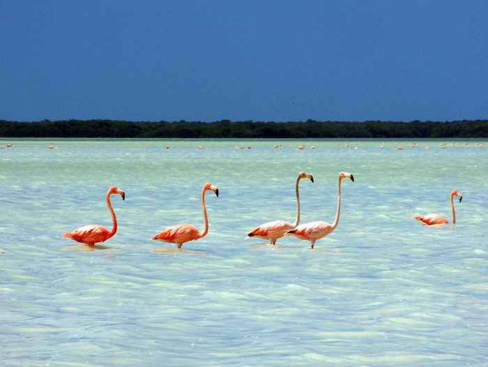 Isla Holbox - México