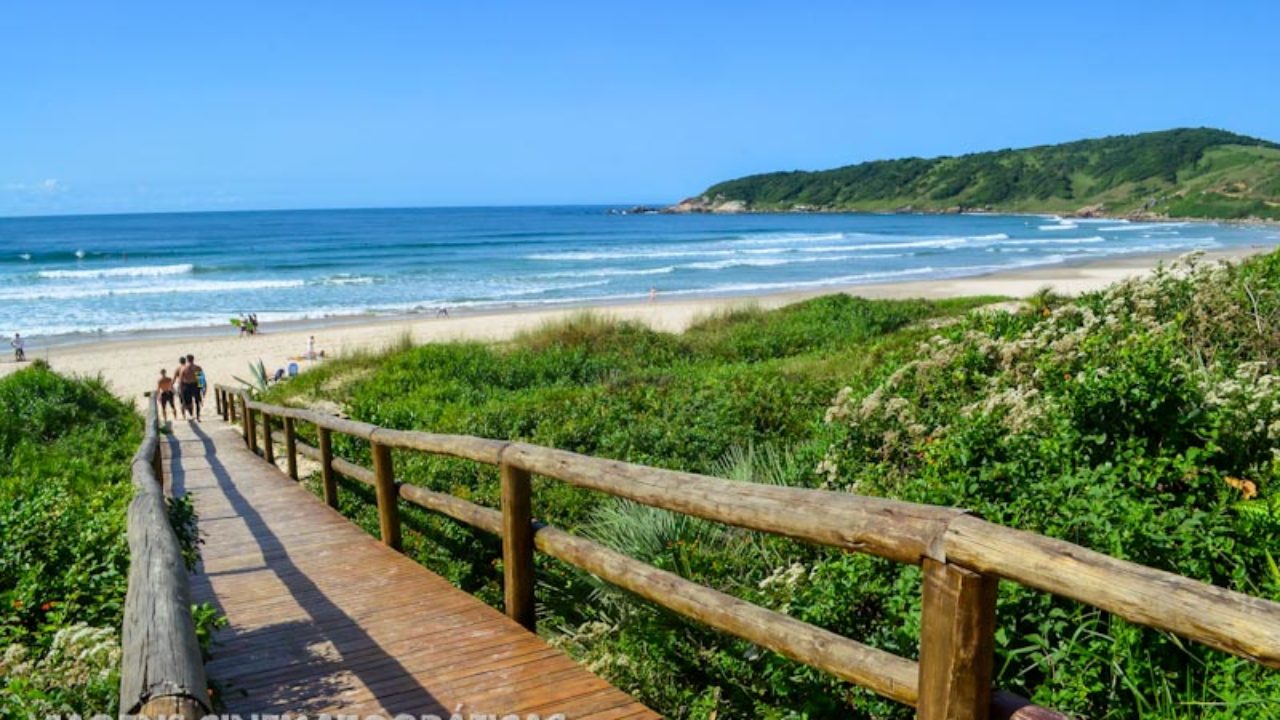 Consumação nas Praias Brasileiras no Sul