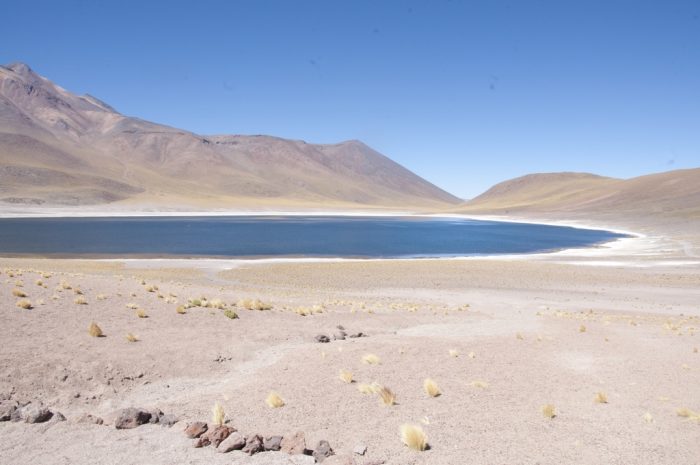 Laguna Miscanti Y Miñiques, não parece uma pintura?