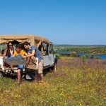Viagem de carro pelo Alentejo