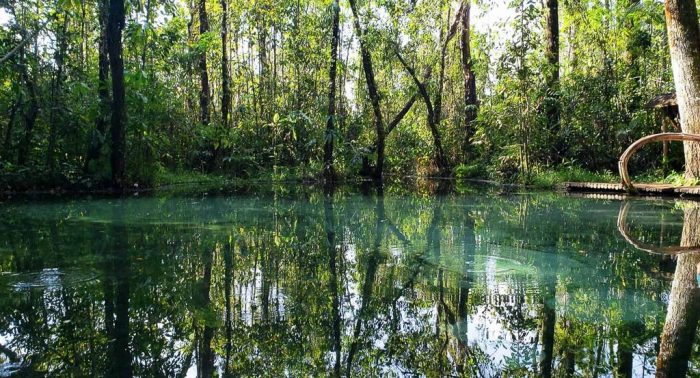 NASCENTE AREIA QUE CANTA em Brotas - SP