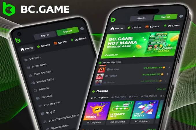 Download the BC.Game APK Your Guide to Mobile Gaming